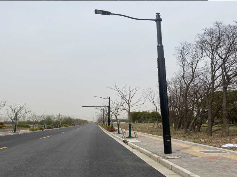 乡城县上海综合杆 太阳能路灯工程